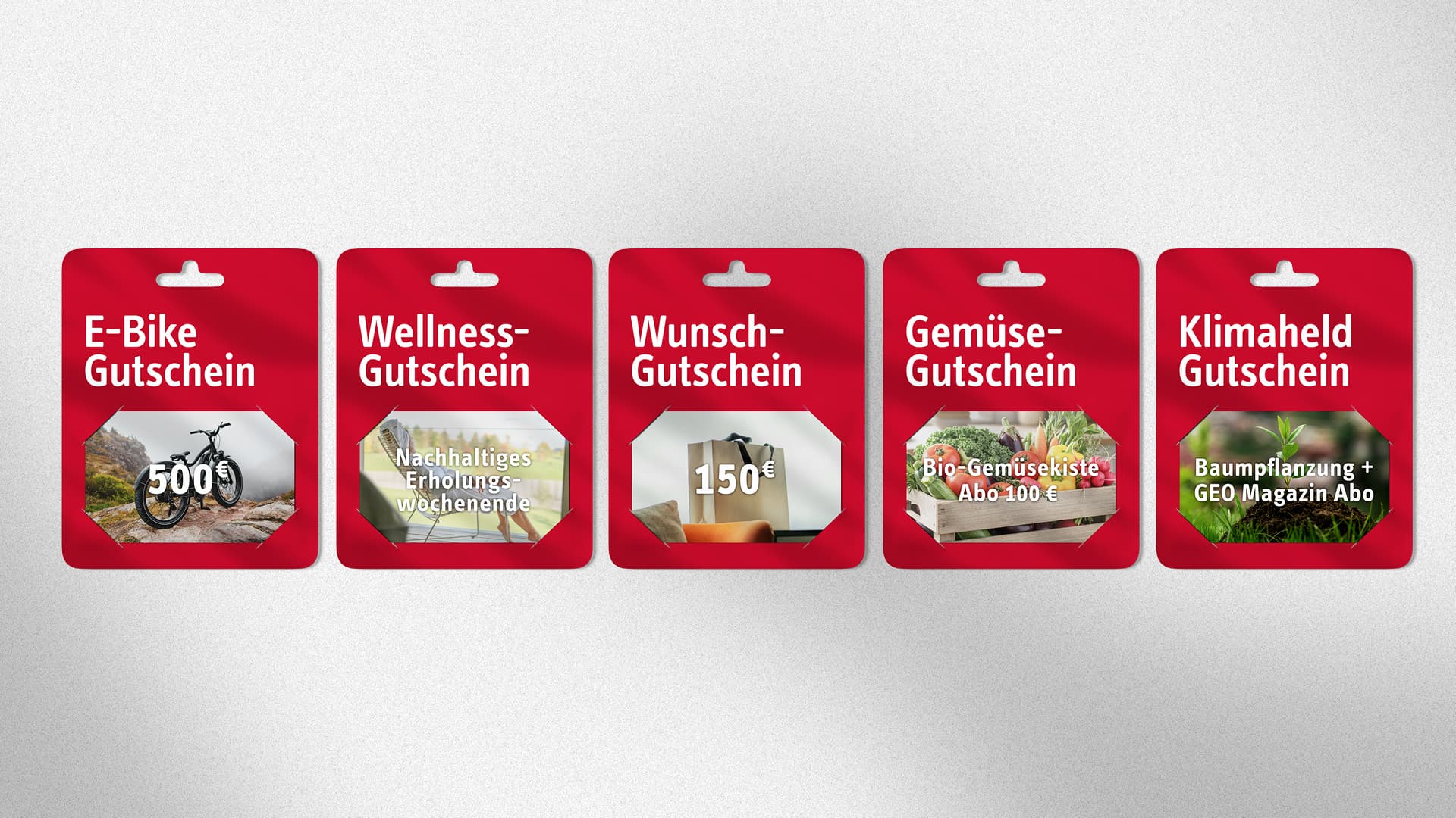 STIEBEL ELTRON Service Techniker